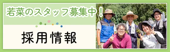 若菜のスタッフ募集中！採用情報
