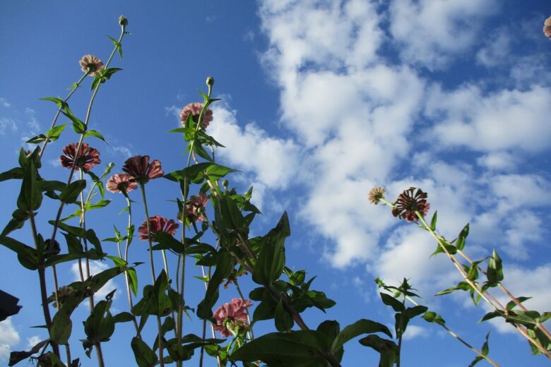 実り豊かな・・・のサムネイル
