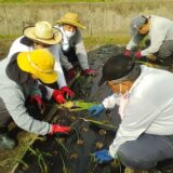 植え付けの様子と外注作業🌱のサムネイル