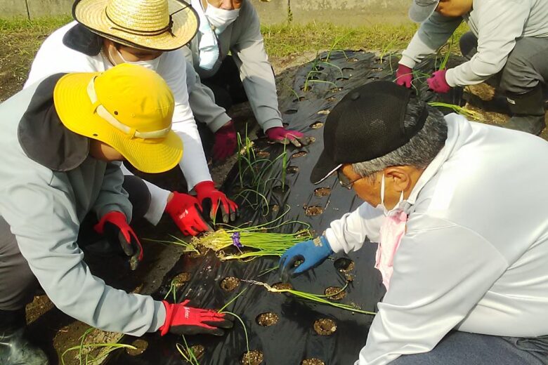 植え付けの様子と外注作業🌱のサムネイル