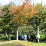 運動の秋のサムネイル