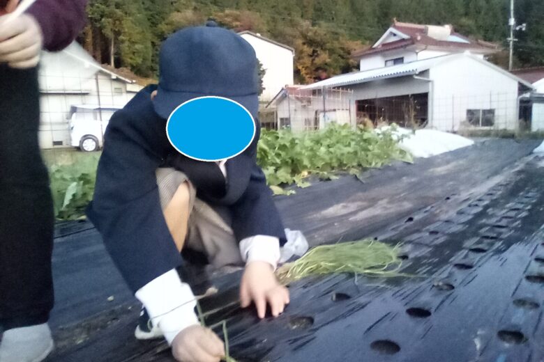 大きくなあれ！！のサムネイル