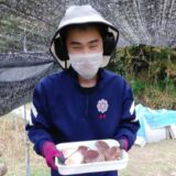 収穫🍄‍🟫と地域清掃のサムネイル