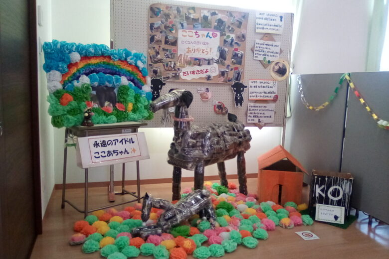 「キラリ☆せらっこ展」開催！！のサムネイル