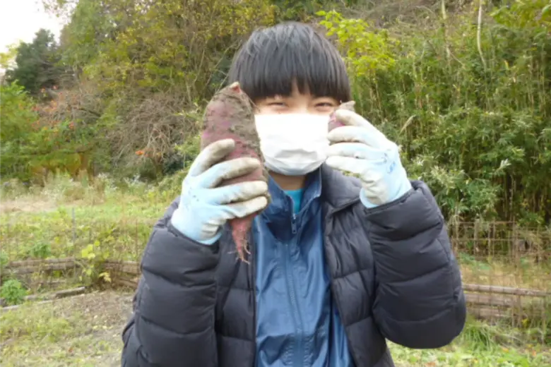 大きなさつまいものサムネイル