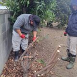 ある日の外注班のサムネイル