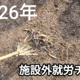 施設外就労チーム頑張っています。のサムネイル