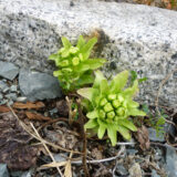 春の訪れのサムネイル