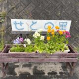 4月の瀬戸の里　畑班のサムネイル