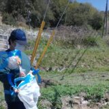 畑の番人登場！？のサムネイル