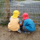 やってみよう！のサムネイル