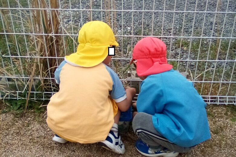 やってみよう！のサムネイル