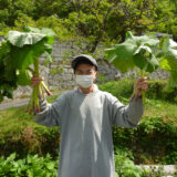 春の山菜のサムネイル