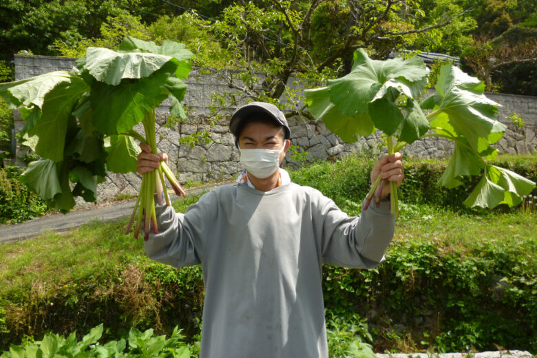 春の山菜のサムネイル