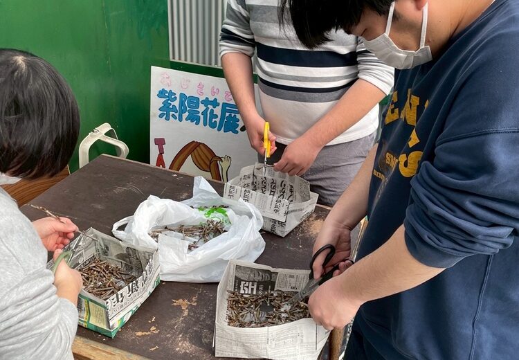 桜の枝で染に挑戦！！のサムネイル