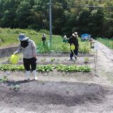 北方菜園🍅のサムネイル
