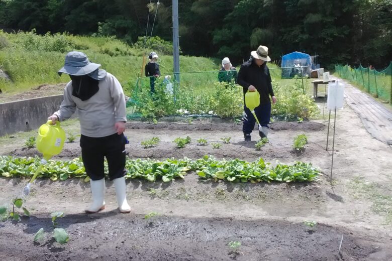 北方菜園🍅のサムネイル