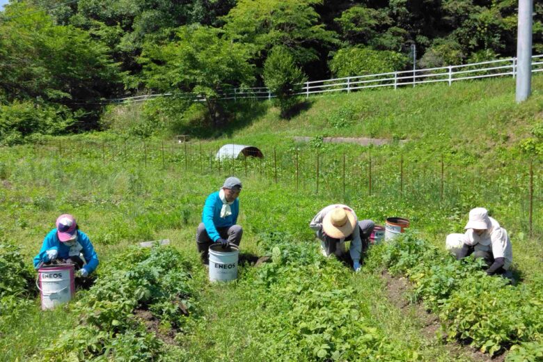 新人職員のつぶやきのサムネイル