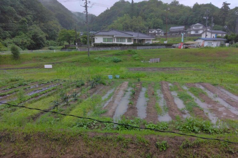 ハギレの袋詰めのサムネイル