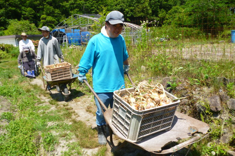 野菜作りが忙しくなっていますのサムネイル