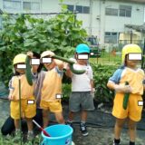 Summer Vacation 2026のサムネイル