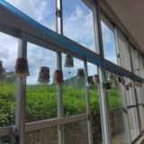 夏だ！水浴び！風鈴リンリン！のサムネイル