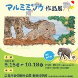 朗報📢のサムネイル